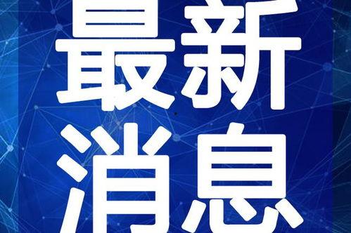 亳州酸菜爆料视频最新版,揭秘传统美食背后的秘密与传承